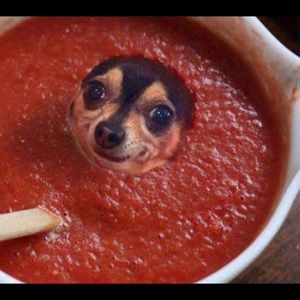 Meet your Posher, Angel